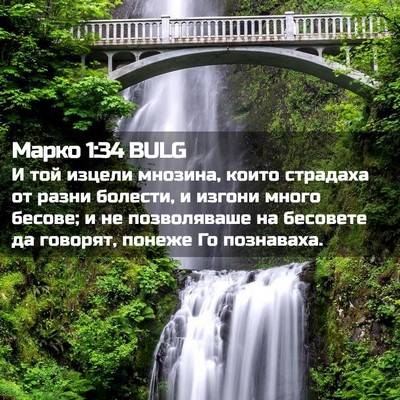 Picture 02 - Марко 1:34 BULG - И той изцели мнозина, които - Bible Verse Picture