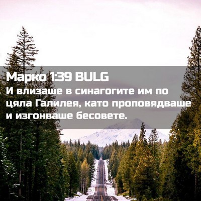 Picture 02 - Марко 1:39 BULG - И влизаше в синагогите им - Bible Verse Picture