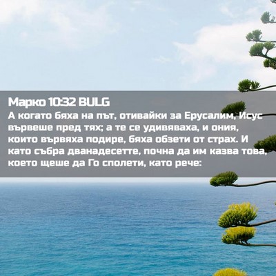 Picture 02 - Марко 10:32 BULG - А когато бяха на път, - Bible Verse Picture