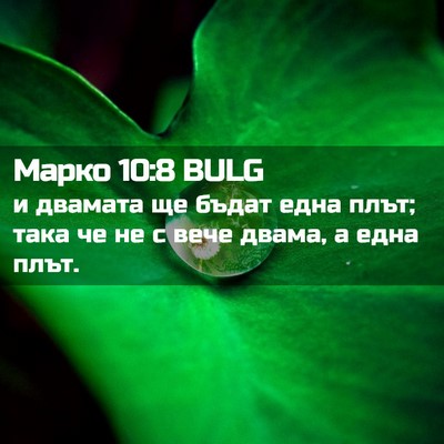 Picture 02 - Марко 10:8 BULG - и двамата ще бъдат една - Bible Verse Picture