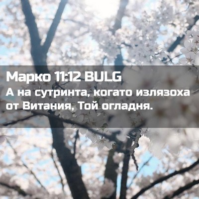 Picture 02 - Марко 11:12 BULG - А на сутринта, когато - Bible Verse Picture