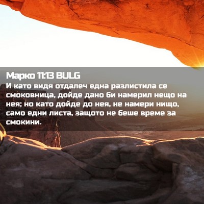 Picture 02 - Марко 11:13 BULG - И като видя отдалеч една - Bible Verse Picture