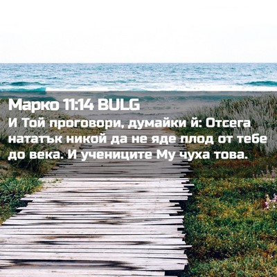 Picture 02 - Марко 11:14 BULG - И Той проговори, думайки й: - Bible Verse Picture