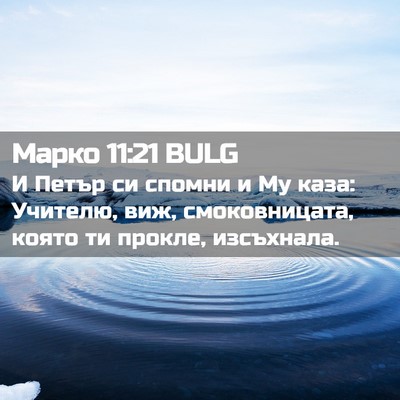 Picture 02 - Марко 11:21 BULG - И Петър си спомни и Му каза: - Bible Verse Picture