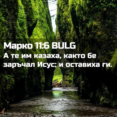 Picture 02 - Марко 11:6 BULG - А те им казаха, както бе - Bible Verse Picture