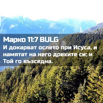 Picture 02 - Марко 11:7 BULG - И докарват ослето при - Bible Verse Picture