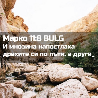Picture 02 - Марко 11:8 BULG - И мнозина напостлаха - Bible Verse Picture