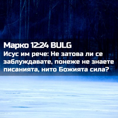 Picture 02 - Марко 12:24 BULG - Исус им рече: Не затова ли - Bible Verse Picture