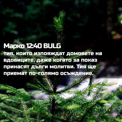 Picture 02 - Марко 12:40 BULG - тия, които изпояждат - Bible Verse Picture
