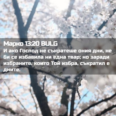 Picture 02 - Марко 13:20 BULG - И ако Господ не съкратеше - Bible Verse Picture