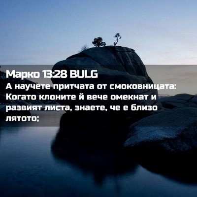 Picture 02 - Марко 13:28 BULG - А научете притчата от - Bible Verse Picture
