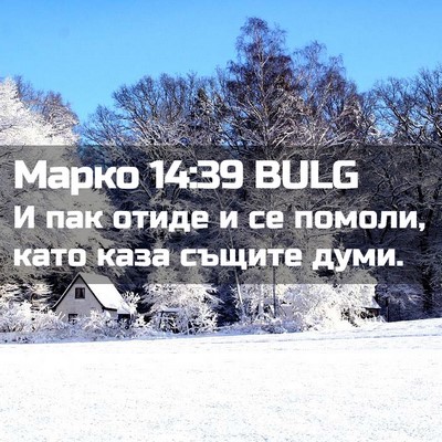 Picture 02 - Марко 14:39 BULG - И пак отиде и се помоли, - Bible Verse Picture