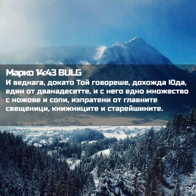 Picture 02 - Марко 14:43 BULG - И веднага, докато Той - Bible Verse Picture