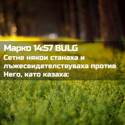Picture 02 - Марко 14:57 BULG - Сетне някои станаха и - Bible Verse Picture