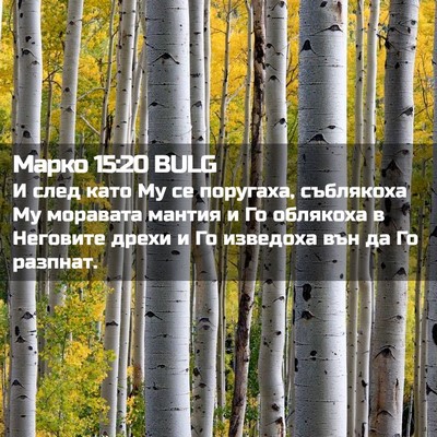 Picture 02 - Марко 15:20 BULG - И след като Му се поругаха, - Bible Verse Picture