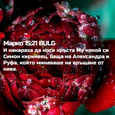 Picture 02 - Марко 15:21 BULG - И накараха да носи кръста - Bible Verse Picture