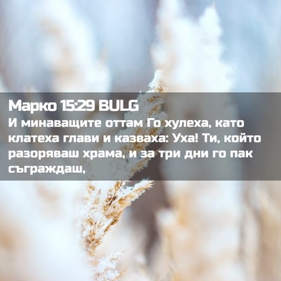 Picture 02 - Марко 15:29 BULG - И минаващите оттам Го - Bible Verse Picture