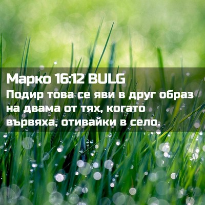 Picture 02 - Марко 16:12 BULG - Подир това се яви в друг - Bible Verse Picture
