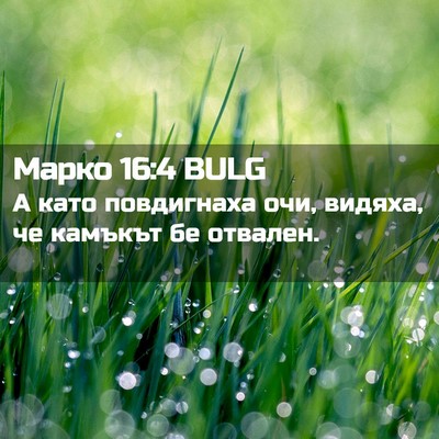 Picture 02 - Марко 16:4 BULG - А като повдигнаха очи, - Bible Verse Picture