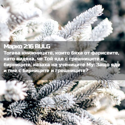 Picture 02 - Марко 2:16 BULG - Тогава книжниците, които - Bible Verse Picture