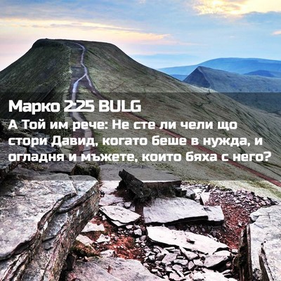 Picture 02 - Марко 2:25 BULG - А Той им рече: Не сте ли - Bible Verse Picture