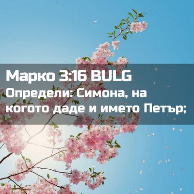 Picture 02 - Марко 3:16 BULG - Определи: Симона, на когото - Bible Verse Picture