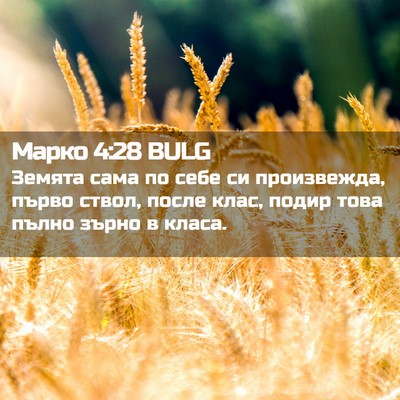 Picture 02 - Марко 4:28 BULG - Земята сама по себе си - Bible Verse Picture