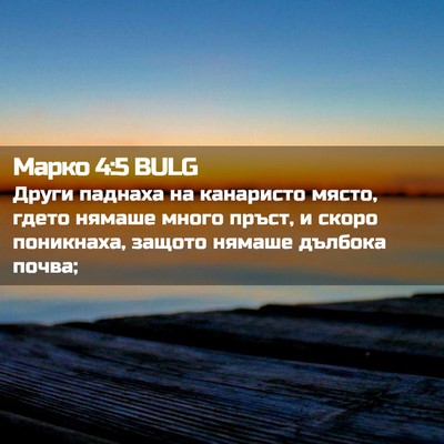Picture 02 - Марко 4:5 BULG - Други паднаха на канаристо - Bible Verse Picture