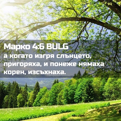 Picture 02 - Марко 4:6 BULG - а когато изгря слънцето, - Bible Verse Picture
