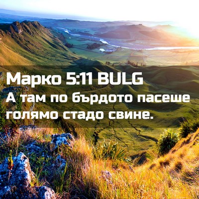 Picture 02 - Марко 5:11 BULG - А там по бърдото пасеше - Bible Verse Picture