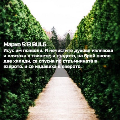 Picture 02 - Марко 5:13 BULG - Исус им позволи. И - Bible Verse Picture