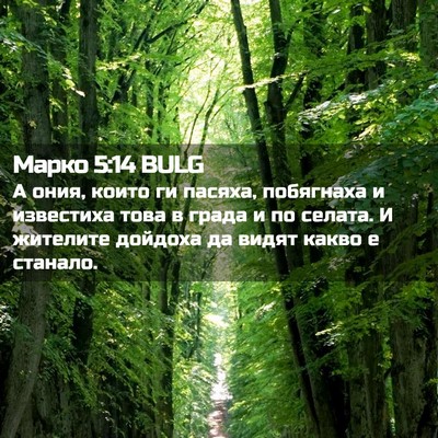 Picture 02 - Марко 5:14 BULG - А ония, които ги пасяха, - Bible Verse Picture