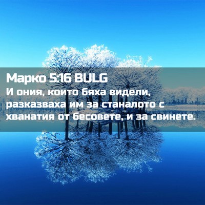 Picture 02 - Марко 5:16 BULG - И ония, които бяха видели, - Bible Verse Picture