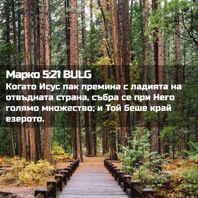 Picture 02 - Марко 5:21 BULG - Когато Исус пак премина с - Bible Verse Picture