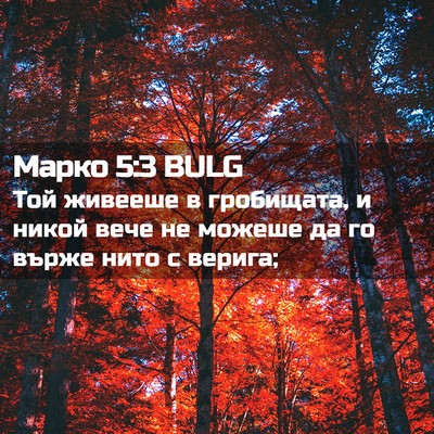 Picture 02 - Марко 5:3 BULG - Той живееше в гробищата, и - Bible Verse Picture