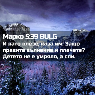 Picture 02 - Марко 5:39 BULG - И като влезе, каза им: Защо - Bible Verse Picture