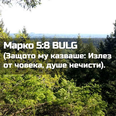 Picture 02 - Марко 5:8 BULG - (Защото му казваше: Излез - Bible Verse Picture