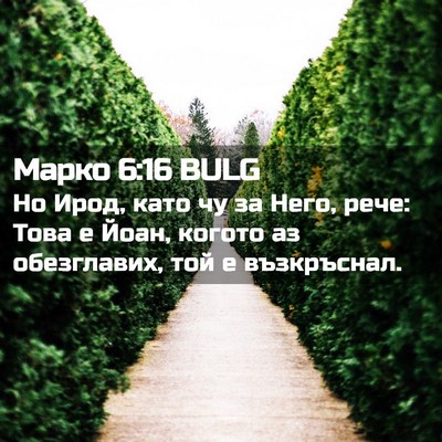 Picture 02 - Марко 6:16 BULG - Но Ирод, като чу за Него, - Bible Verse Picture