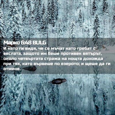 Picture 02 - Марко 6:48 BULG - И като ги видя, че се мъчат - Bible Verse Picture