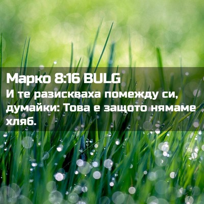 Picture 02 - Марко 8:16 BULG - И те разискваха помежду си, - Bible Verse Picture