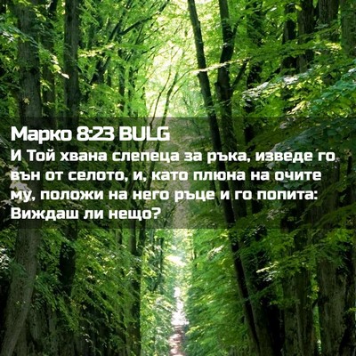 Picture 02 - Марко 8:23 BULG - И Той хвана слепеца за - Bible Verse Picture