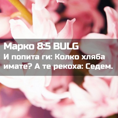 Picture 02 - Марко 8:5 BULG - И попита ги: Колко хляба - Bible Verse Picture