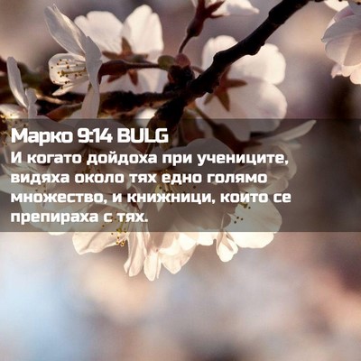 Picture 02 - Марко 9:14 BULG - И когато дойдоха при - Bible Verse Picture