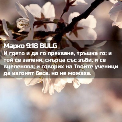 Picture 02 - Марко 9:18 BULG - И гдето и да го прехване, - Bible Verse Picture