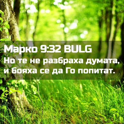 Picture 02 - Марко 9:32 BULG - Но те не разбраха думата, и - Bible Verse Picture