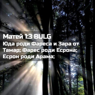 Picture 02 - Матей 1:3 BULG - Юда роди Фареса и Зара от - Bible Verse Picture