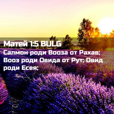 Picture 02 - Матей 1:5 BULG - Салмон роди Вооза от Рахав; - Bible Verse Picture