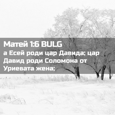 Picture 02 - Матей 1:6 BULG - а Есей роди цар Давида; цар - Bible Verse Picture