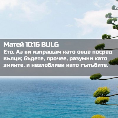 Picture 02 - Матей 10:16 BULG - Ето, Аз ви изпращам като - Bible Verse Picture
