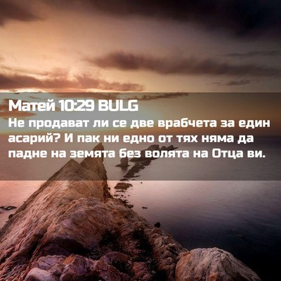 Picture 02 - Матей 10:29 BULG - Не продават ли се две - Bible Verse Picture